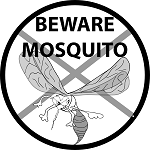 mosquito image.png